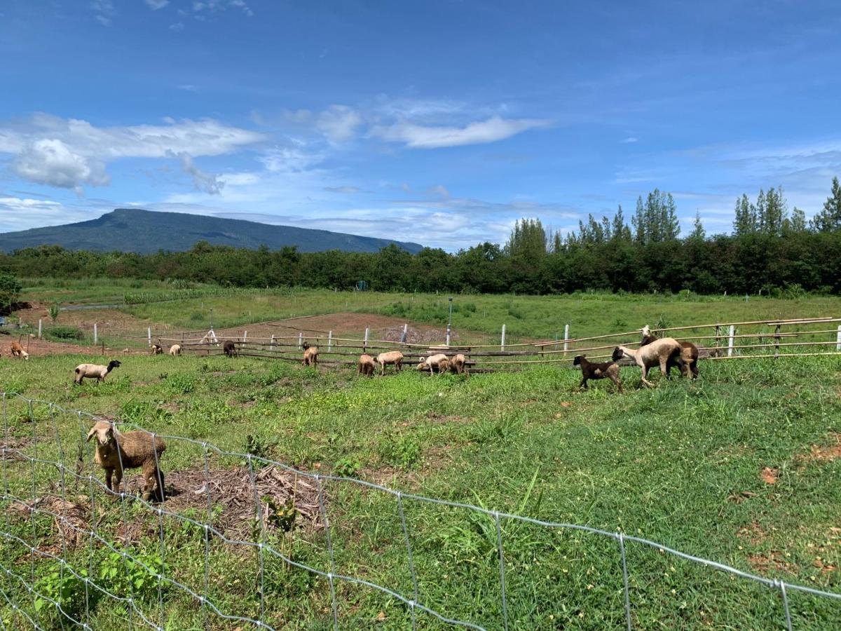 ฟาร์มแกะภูกระดึง Waraporn Valley Ban Nong Tum Kültér fotó