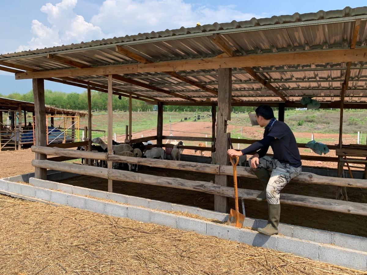 ฟาร์มแกะภูกระดึง Waraporn Valley Ban Nong Tum Kültér fotó